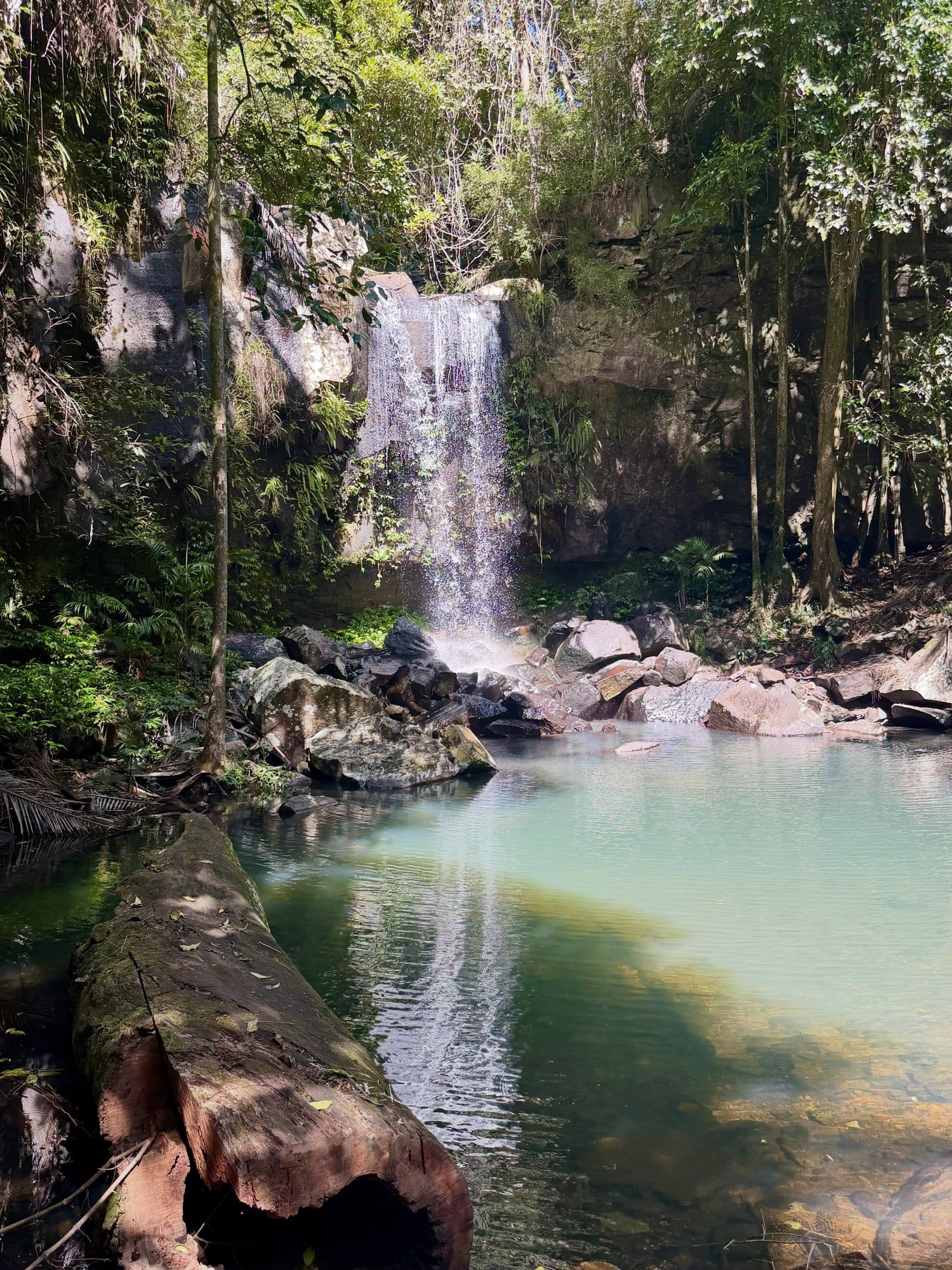 Mount Tamborine view