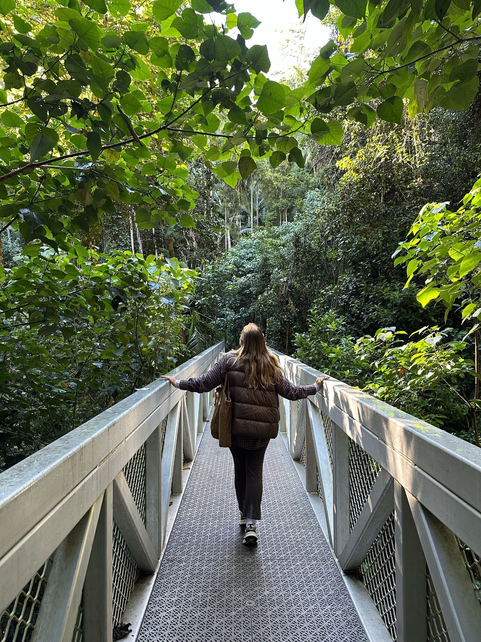 Mount Tamborine tour visitor photo
