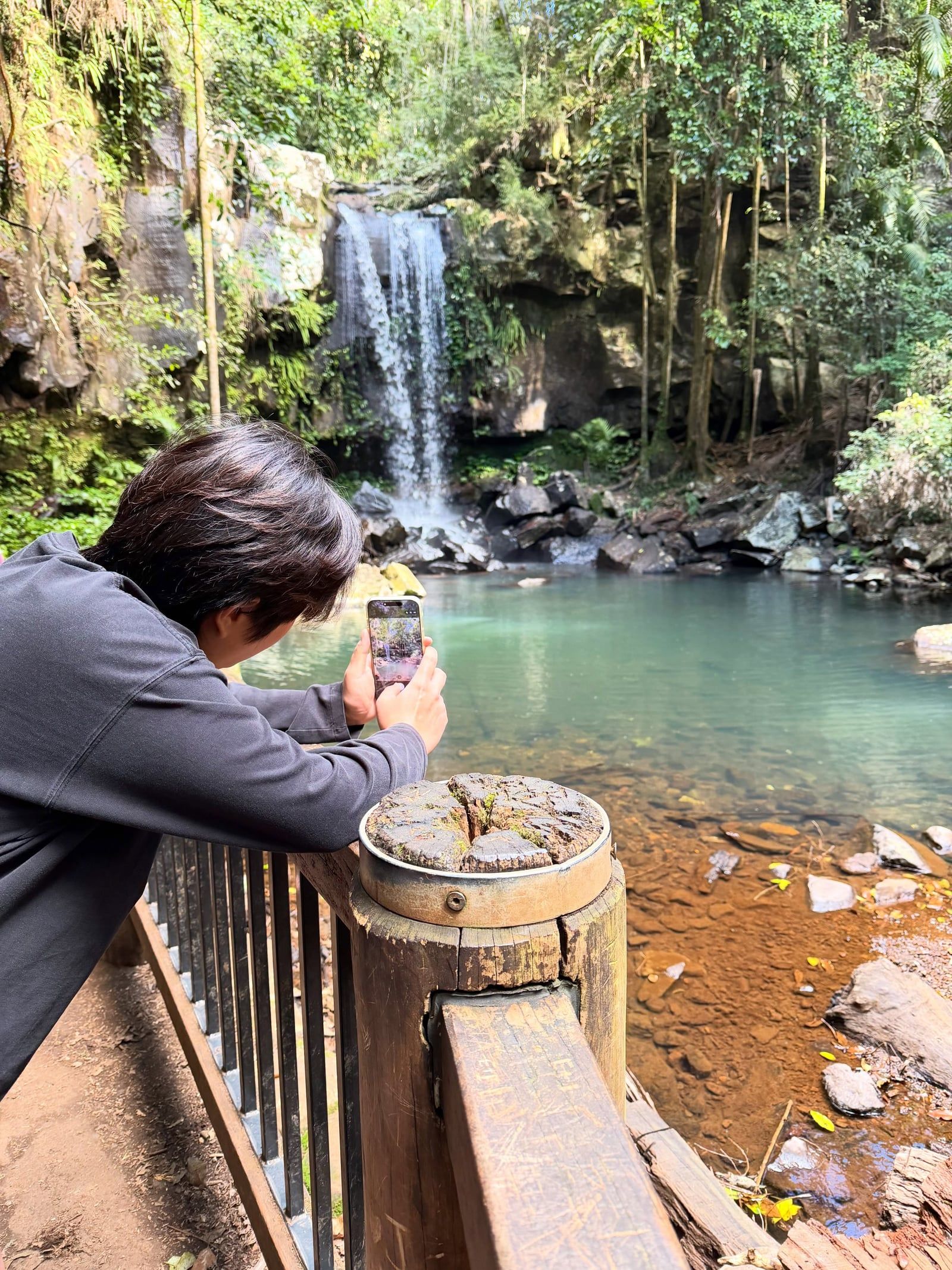 Mount Tamborine tour visitor photo