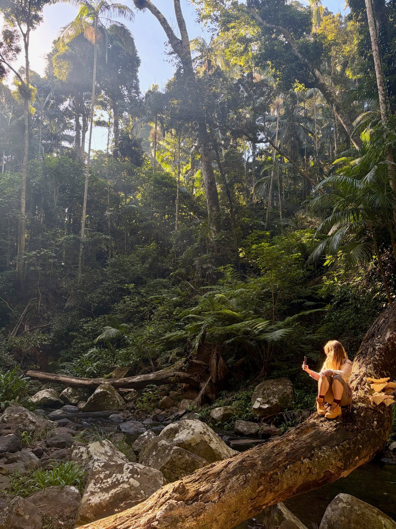Mount Tamborine tour visitor photo